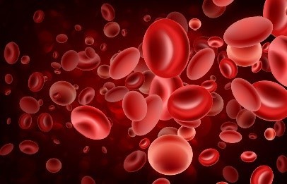 Sinh lý máu trắc nghiệm là gì?